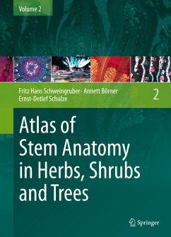 Atlas of Stem Anatomy in Herbs, Shrubs and Trees (eBook, PDF) - Schweingruber, Fritz Hans; Börner, Annett; Schulze, Ernst-Detlef