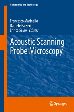 Acoustic Scanning Probe Microscopy (eBook, PDF)