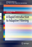 A Rapid Introduction to Adaptive Filtering (eBook, PDF)