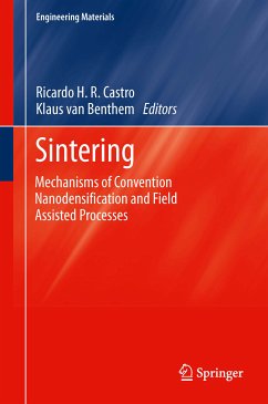 Sintering (eBook, PDF)
