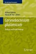 Corynebacterium glutamicum (eBook, PDF) - Bild 1