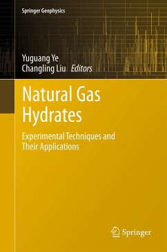 Natural Gas Hydrates (eBook, PDF)