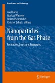Nanoparticles from the Gasphase (eBook, PDF)