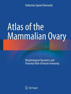 Atlas of the Mammalian Ovary (eBook, PDF) - Spanel-Borowski, Katharina