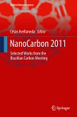 NanoCarbon 2011 (eBook, PDF)