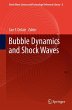 Bubble Dynamics and Shock Waves (eBook,... - Bild 1
