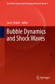 Bubble Dynamics and Shock Waves (eBook, PDF)
