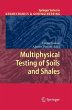 Multiphysical Testing of Soils and... - Bild 1