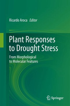 Plant Responses to Drought Stress (eBook, PDF)