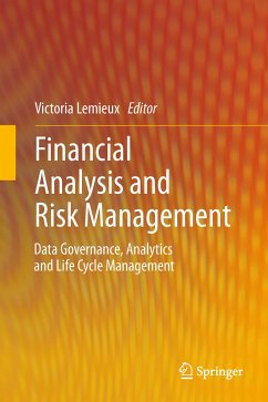 Financial Analysis and Risk Management (eBook, PDF)