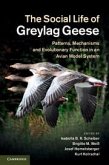 The Social Life of Greylag Geese