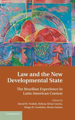 Law and the New Developmental State