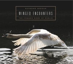 Winged Encounters - Beggan, Raymond