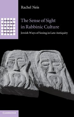 The Sense of Sight in Rabbinic Culture - Neis, Rachel