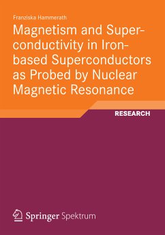 Magnetism and Superconductivity in Iron-based Superconductors as Probed by Nuclear Magnetic Resonance (eBook, PDF) - Hammerath, Franziska