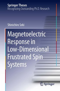 Magnetoelectric Response in Low-Dimensional Frustrated Spin Systems (eBook, PDF) - Seki, Shinichiro