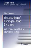 Visualization of Hydrogen-Bond Dynamics (eBook, PDF)