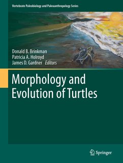Morphology and Evolution of Turtles (eBook, PDF)