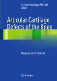 Articular Cartilage Defects of the Knee (eBook, PDF)