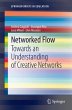 Networked Flow (eBook, PDF) - Bild 1