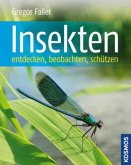 Insekten