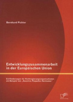 Entwicklungszusammenarbeit in der Europäischen Union: EU-Förderungen für Nichtregierungsorganisationen am Beispiel von ¿Nuestros Pequeños Hermanos¿ - Pichler, Bernhard