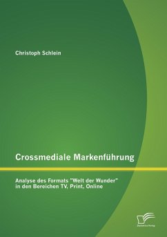 Crossmediale Markenführung: Analyse des Formats 