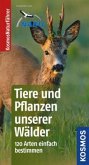 Tiere und Pflanzen unserer Wälder