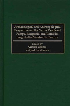 Archaeological and Anthropological Perspectives on the Native Peoples of Pampa, Patagonia, and Tierra del Fuego to the Nineteenth Century (eBook, PDF)