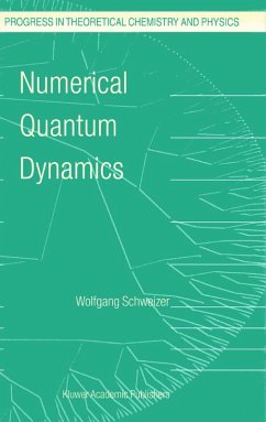 Cover Numerical Quantum Dynamics (eBook, PDF)