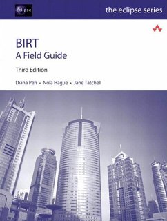 BIRT (eBook, PDF) - Peh Diana; Hague Nola; Tatchell Jane