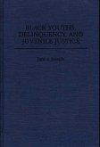 Black Youths, Delinquency, and Juvenile Justice (eBook, PDF)