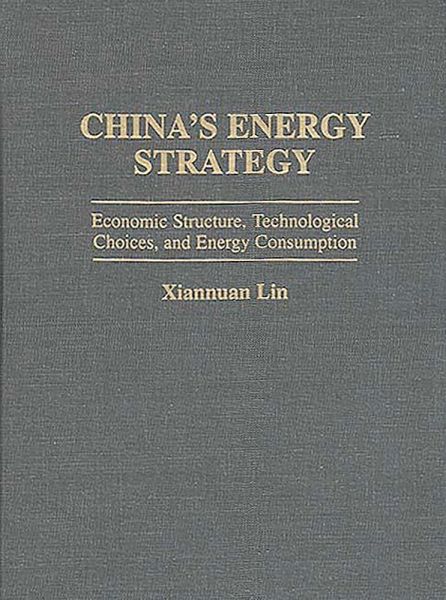 China's Energy Strategy (eBook, PDF)