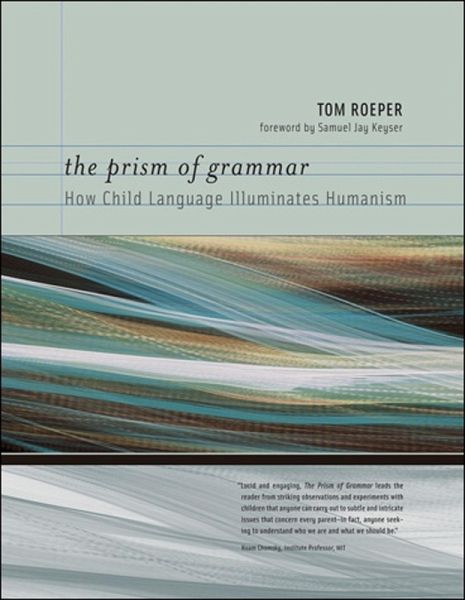The Prism of Grammar (eBook, ePUB) The Prism of Grammar (eBook, ePUB)