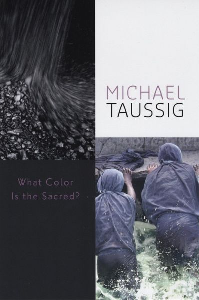 What Color Is the Sacred? (eBook, ePUB)