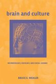 Brain and Culture (eBook, ePUB)