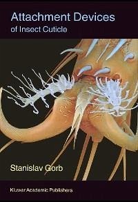 Attachment Devices of Insect Cuticle (eBook, PDF) - Gorb, Stanislav S. N.