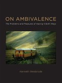 On Ambivalence (eBook, ePUB) On Ambivalence (eBook, ePUB)
