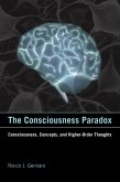 The Consciousness Paradox (eBook, ePUB)