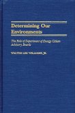 Determining Our Environments (eBook, PDF)