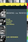 Riding the Waves (eBook, ePUB)