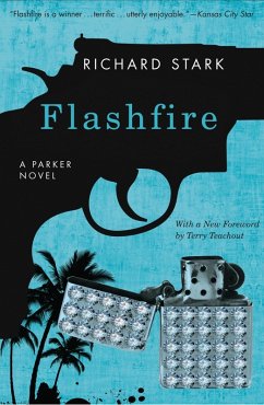 Cover Flashfire (eBook, ePUB)