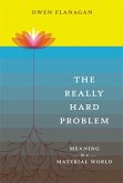 The Really Hard Problem (eBook, ePUB)