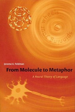 From Molecule to Metaphor (eBook, ePUB) - Feldman, Jerome