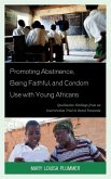 Promoting Abstinence, Being Faithful, and Condom Use with Young Africans (eBook, ePUB)