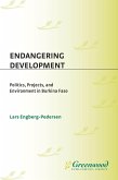 Endangering Development (eBook, PDF)