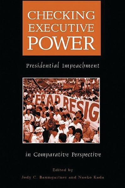 Checking Executive Power (eBook, PDF)