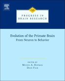 Evolution of the Primate Brain (eBook, ePUB)
