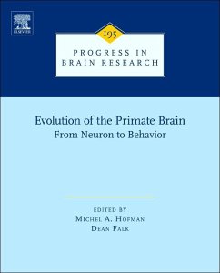Cover Evolution of the Primate Brain (eBook, ePUB)