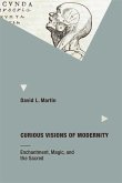 Curious Visions of Modernity (eBook, ePUB) Curious Visions of Modernity (eBook, ePUB)